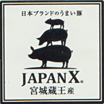 JAPAN　X